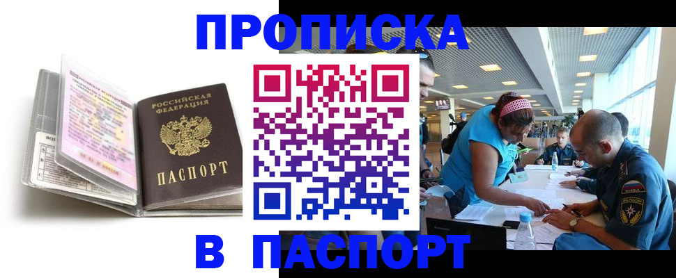 временная регистрация поиск в Николаевске